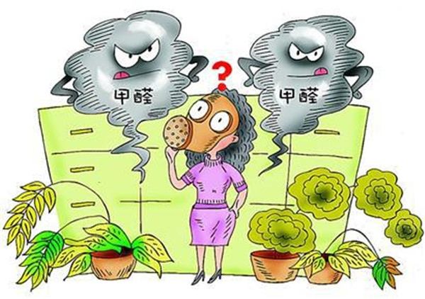 不知道除甲醛多少錢一平米？你就等著被坑吧！