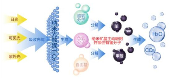 洋蔥可以除甲醛？民間流傳土方法可信嗎？