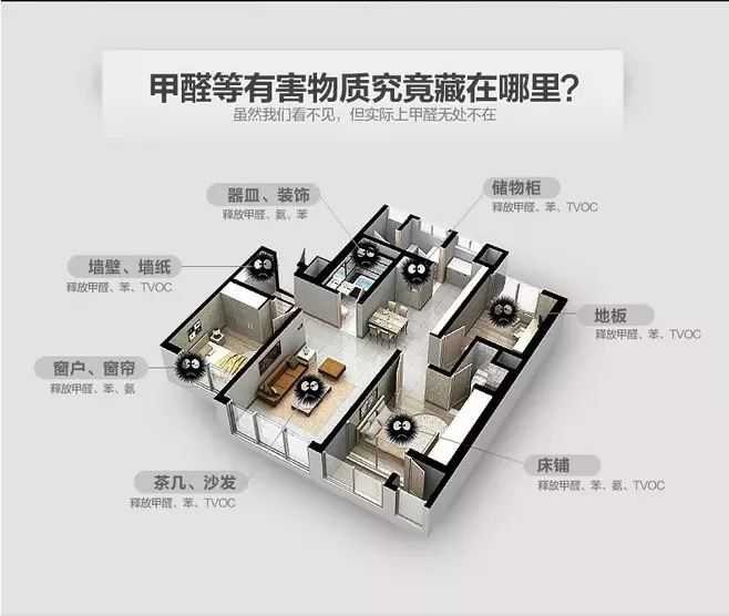 除了除甲醛公司，我們還可以這樣除甲醛