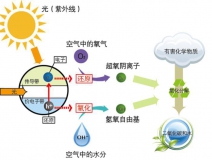 什么甲醛治理辦法效果好持續(xù)時(shí)間長？