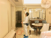 甲醛治理的優勢體現在哪里？