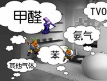 怎樣有效去除甲醛？