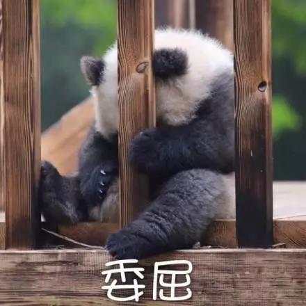 別大意！七大除甲醛“誤區”，信了你反而會生病！通風、綠植、活性炭、熏蒸……你中招了嗎？